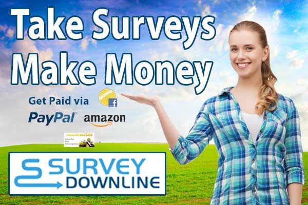 Digital ad for Survey Downline - Take Surveys, Make Money