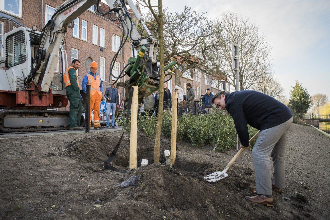 Wethouder Richard de Mos plant de laatste boom ter gelegenheid van de opening van de Valkenbosvaart in Den Haag.