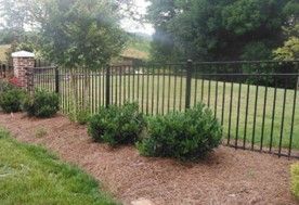 A fenced yard with bushes and trees