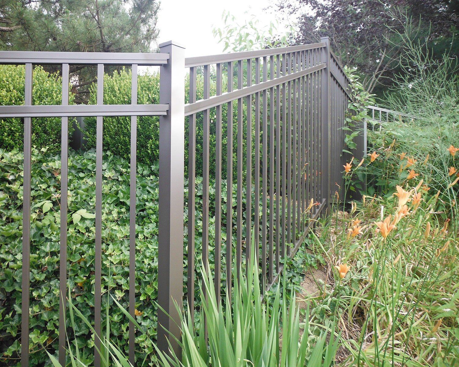 A metal fence is surrounded by bushes and flowers