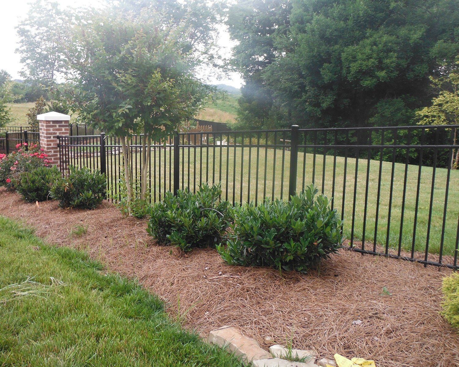 A black metal fence surrounds a lush green yard.