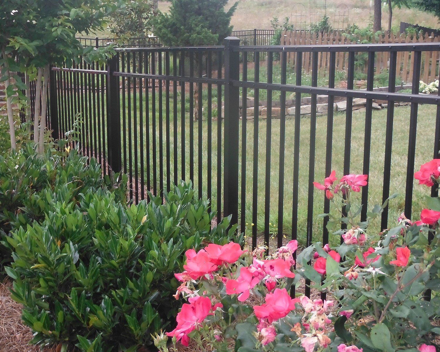 A black fence surrounds a garden with pink flowers