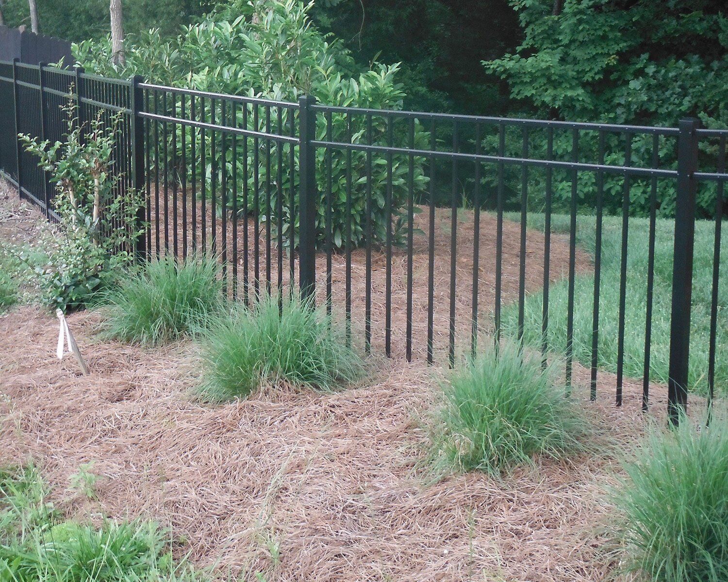 A black metal fence surrounds a lush green field