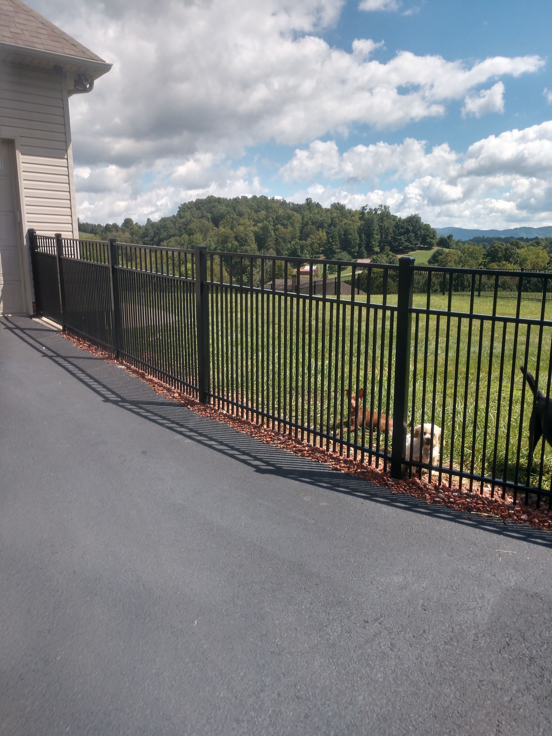 A black fence surrounds a lush green field