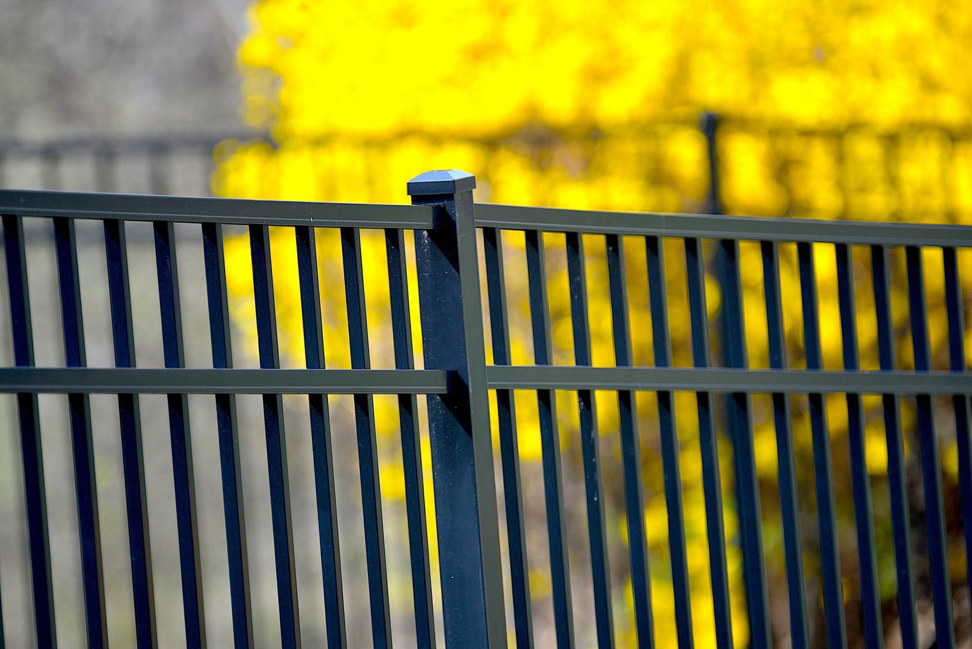 Close-up image of an aluminum fence.