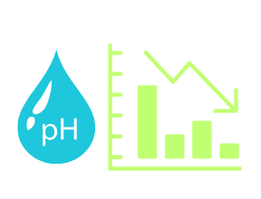 professional leak detection