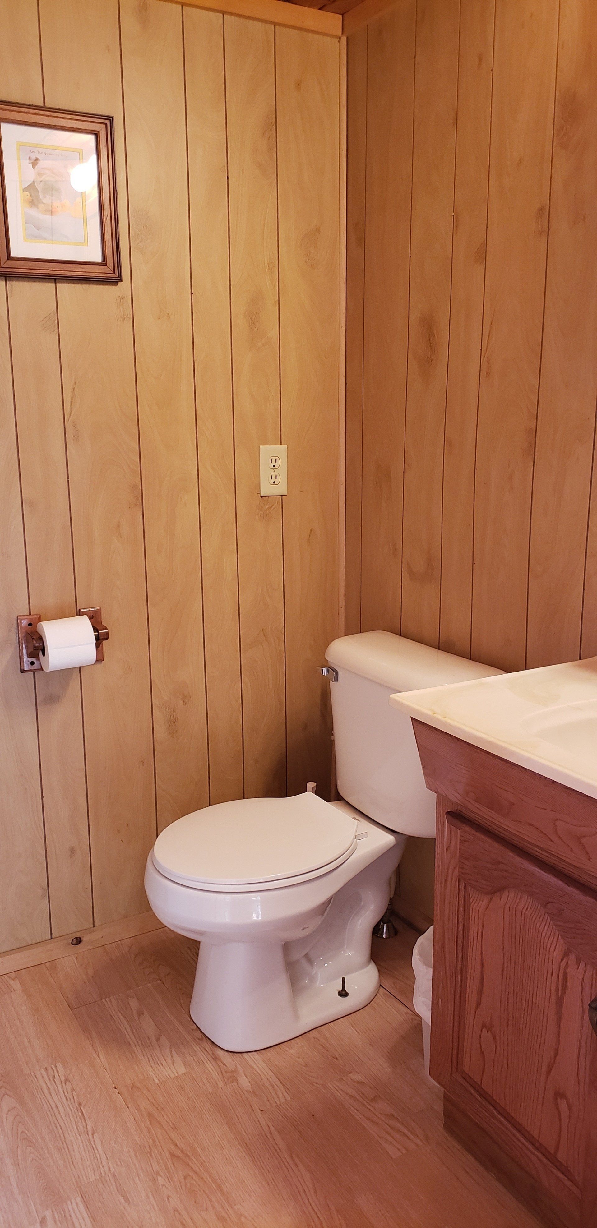 A bathroom with a toilet , sink , and picture on the wall.