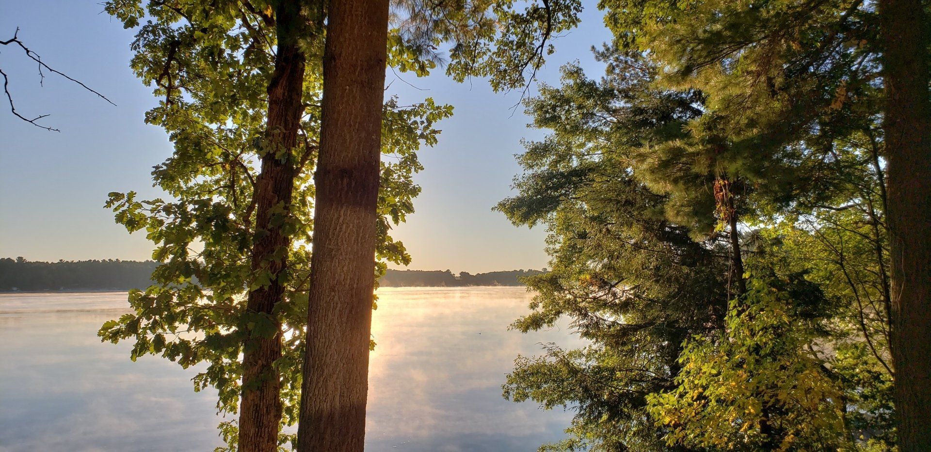 The sun is shining through the trees over a lake.