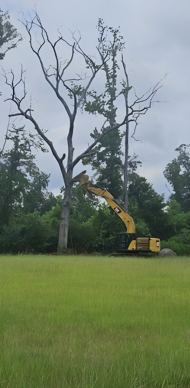 A yellow excavator cuts a tall tree in a grassy field. Cloudy sky in the background.