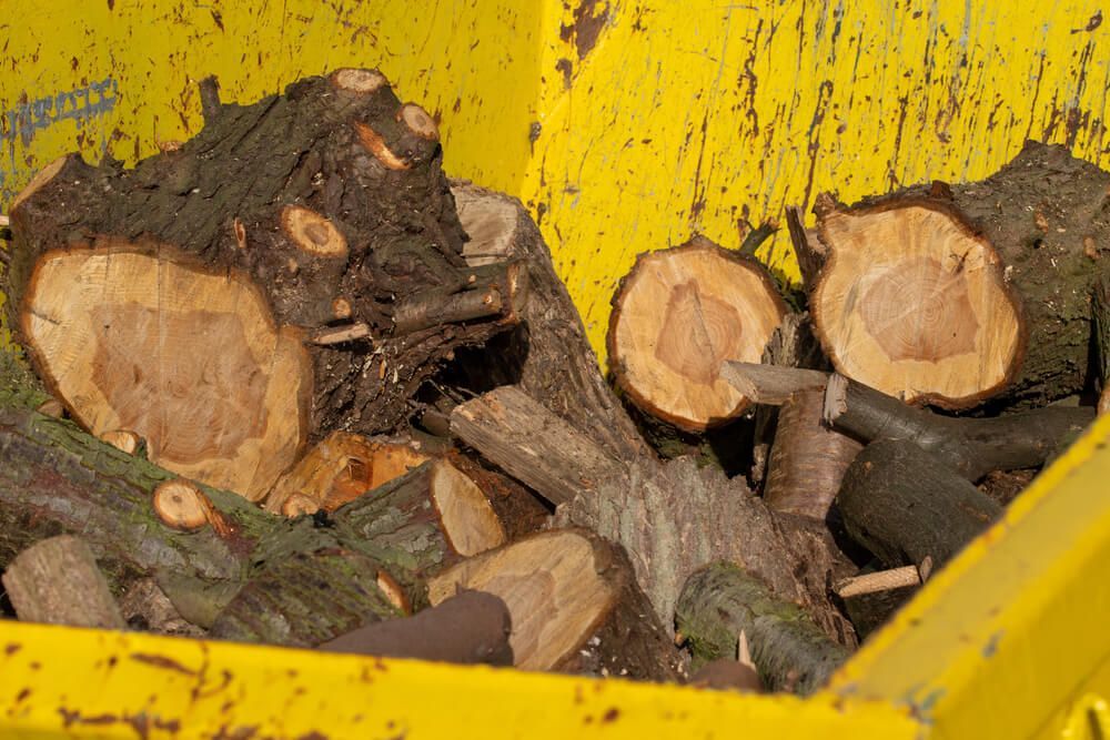 A Pile of Logs in a Yellow Container — Swift Skips in Gympie, QLD