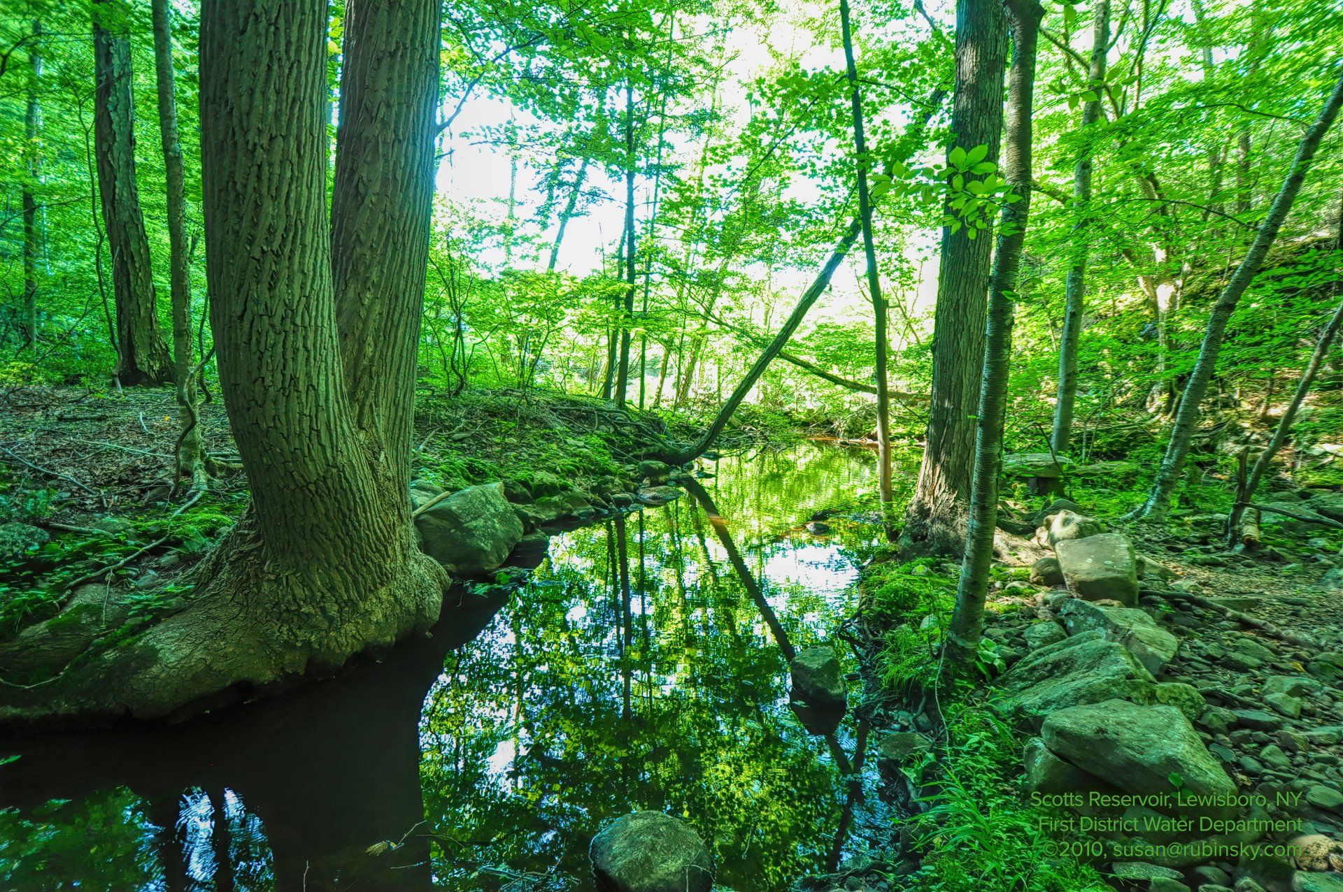 Environmental Stewardship