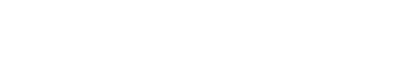 PNEUSTORRAZZI-LOGO