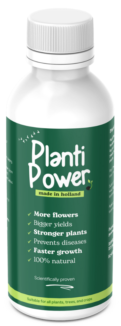A bottle of planti power with a green label
