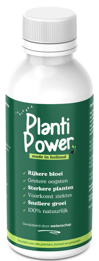 A bottle of planti power with a green label