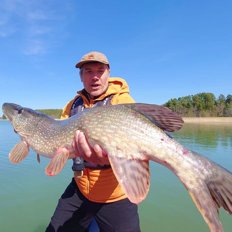 Pike fishing in Finland from the boat