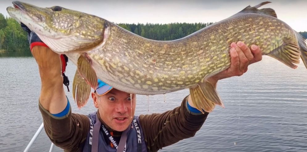 Big Pike fishing Finland