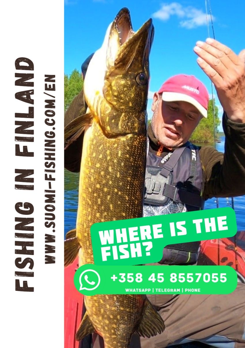Fishing in Finland Catalogue of best lakes 