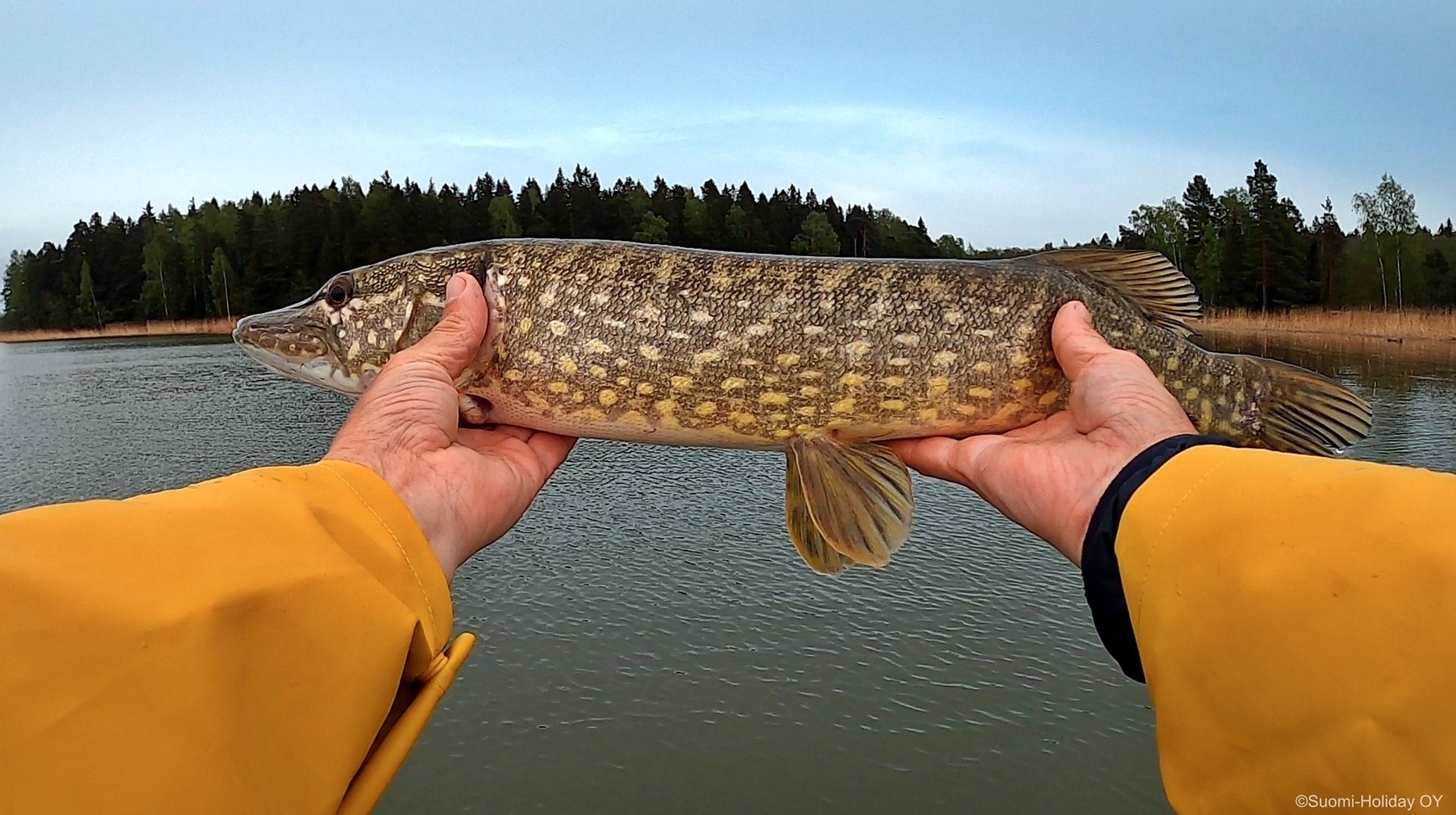 Best Fishing Spots in Finland