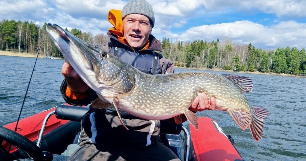 Рыбалка на щуку на катере RiverBoats 430 RIB