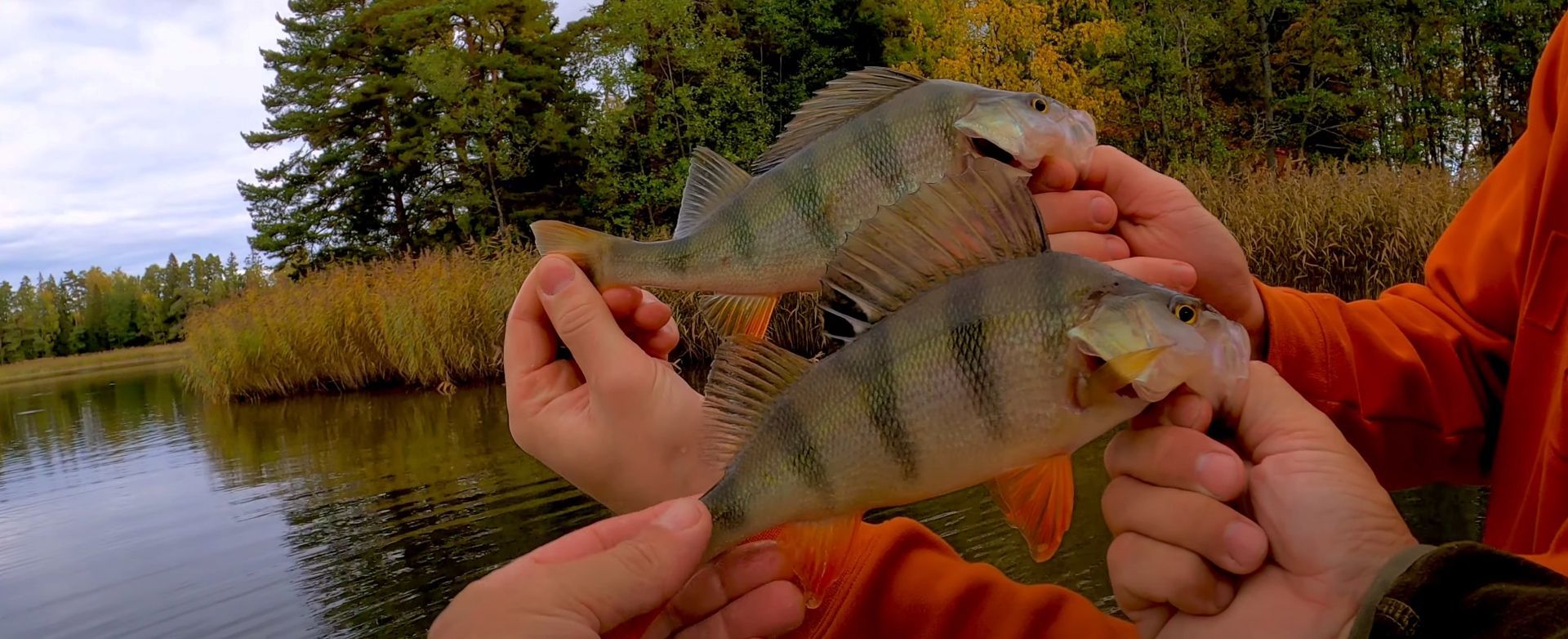 Fishing Boat for hire in Finland