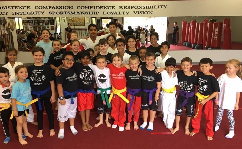 kids martial arts