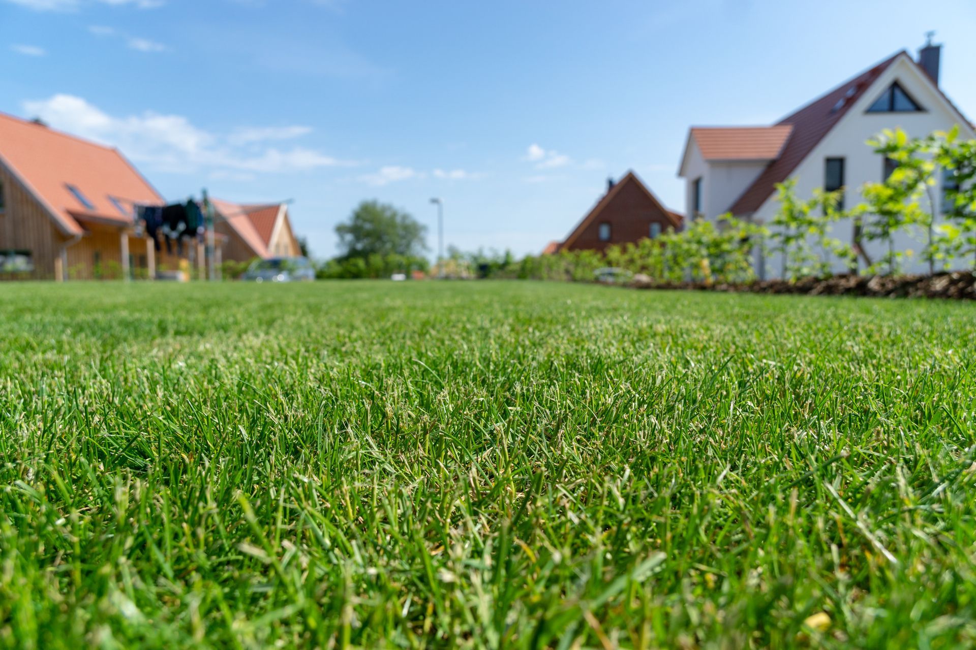 Grassy suburban street with houses and blue sky in the background