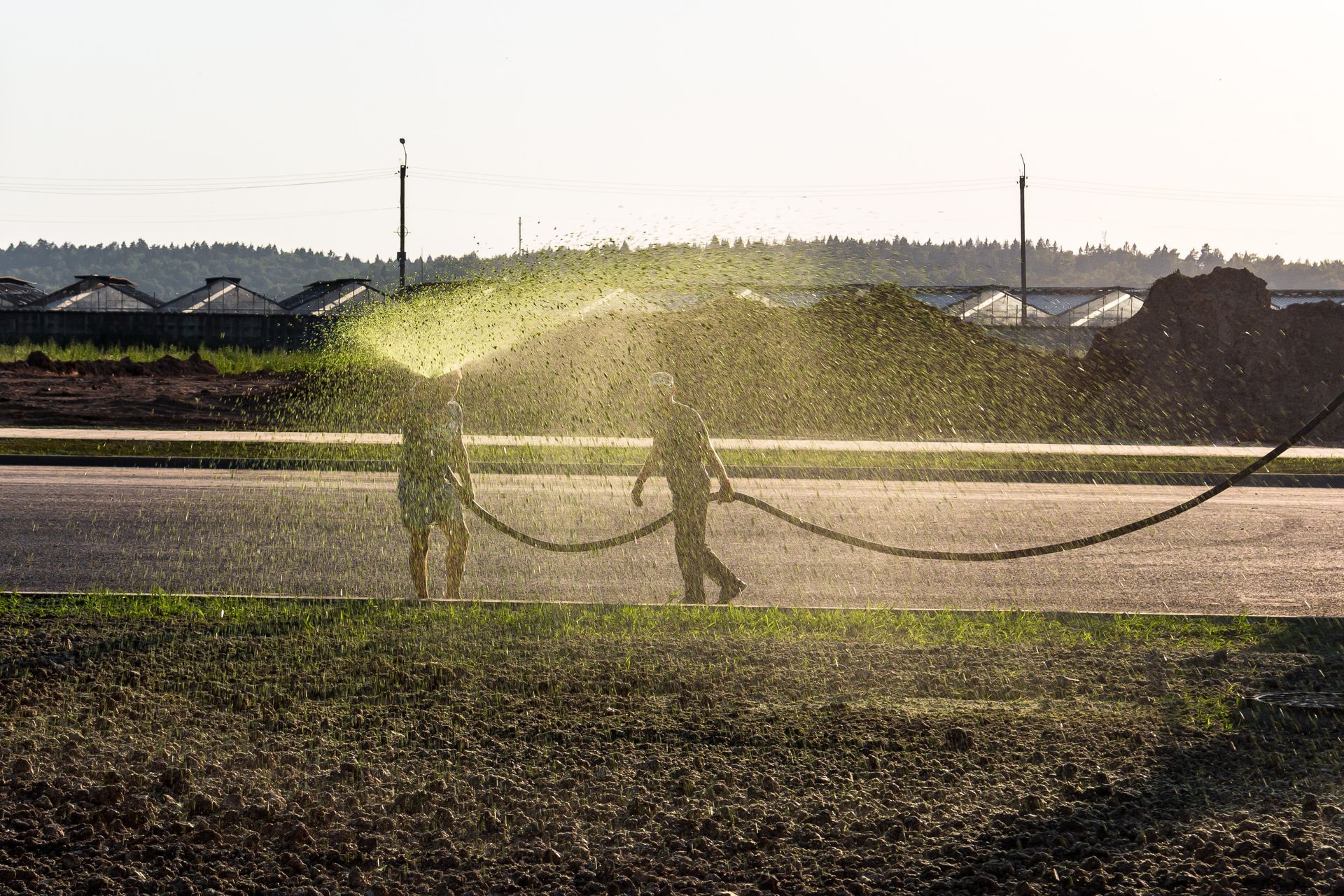 Two people spray a field with a hose in a sunlit rural landscape.