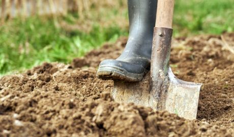 Person using a shovel to dig soil in a garden or field Person using a shovel to dig soil in a garden or field
