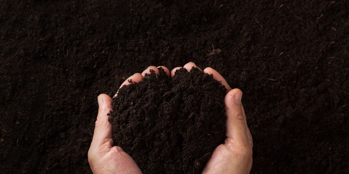 Two hands holding a mound of dark soil on a black background Two hands holding a mound of dark soil on a black background