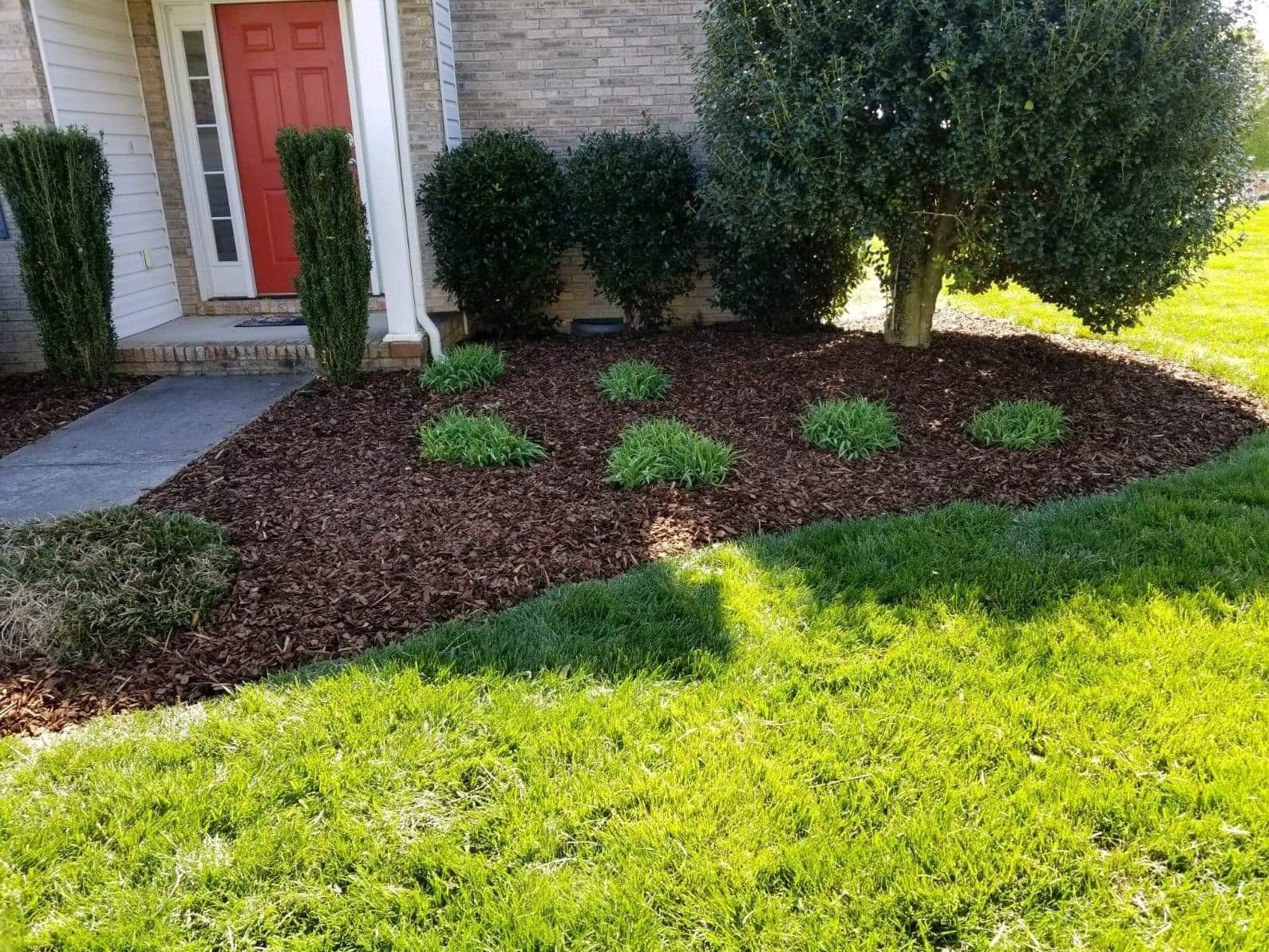 freshly edged lawn