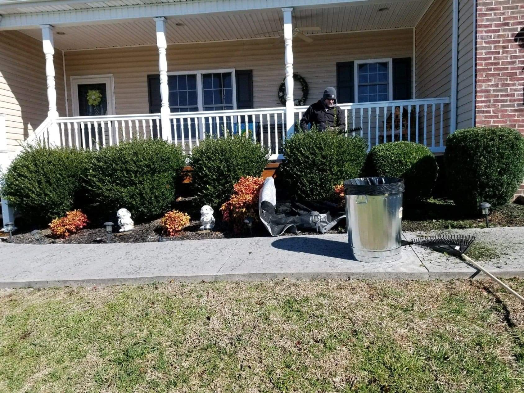 fresh trimmed shrubs