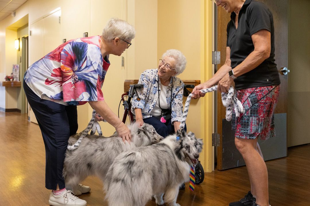 Three women are petting two dogs in a hallway.