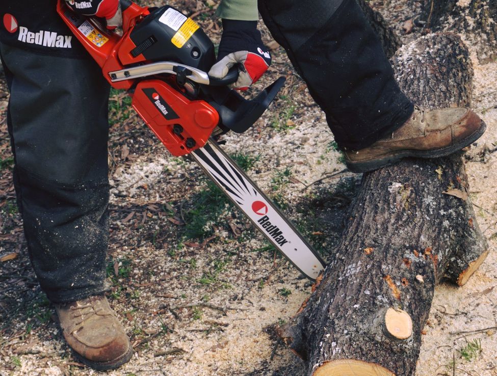 Wood Cutter Saws Tree With Chainsaw — Mower Shop In Murwillumbah, NSW