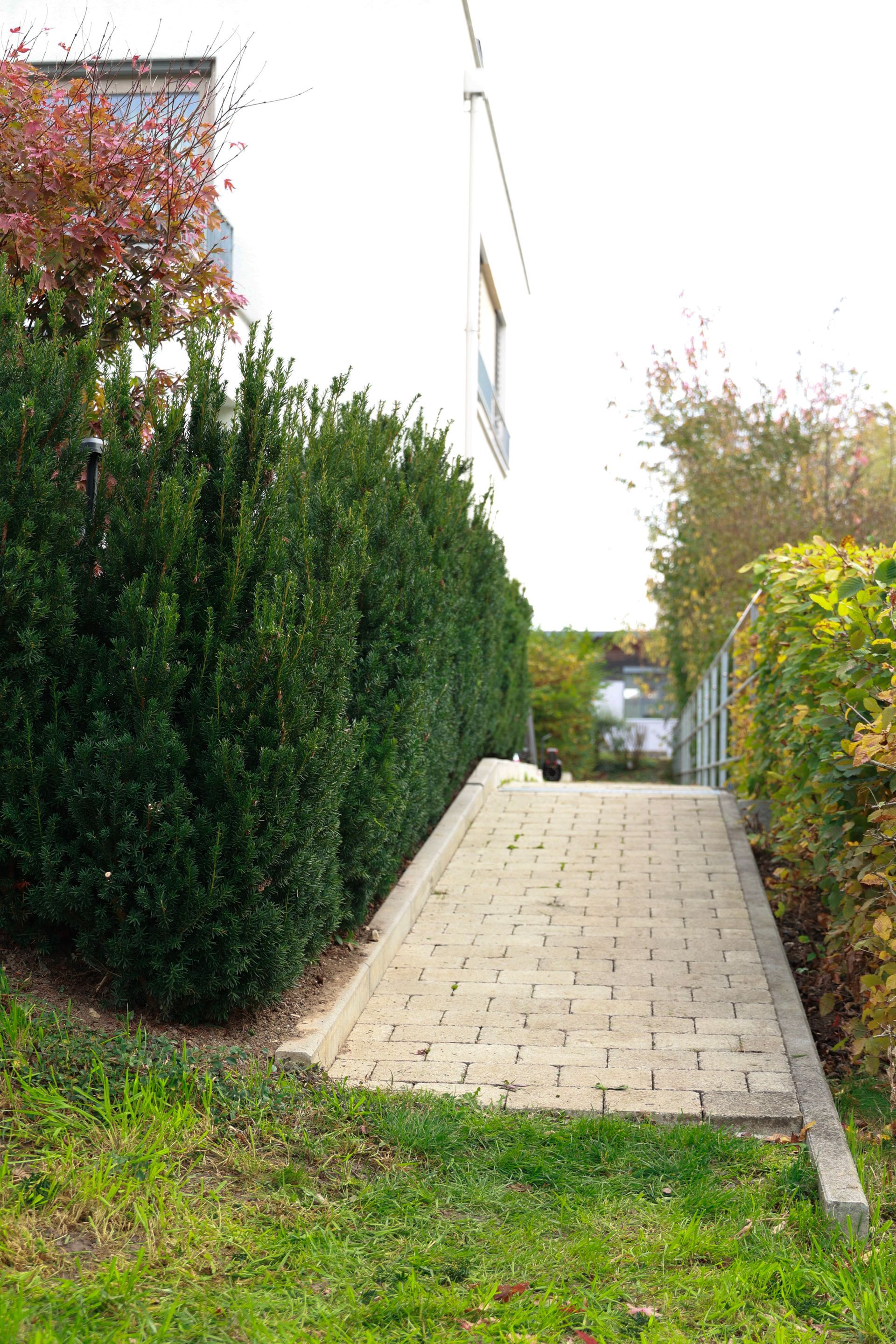 Härer Garten- und Landschaftsbau Gartenpflege