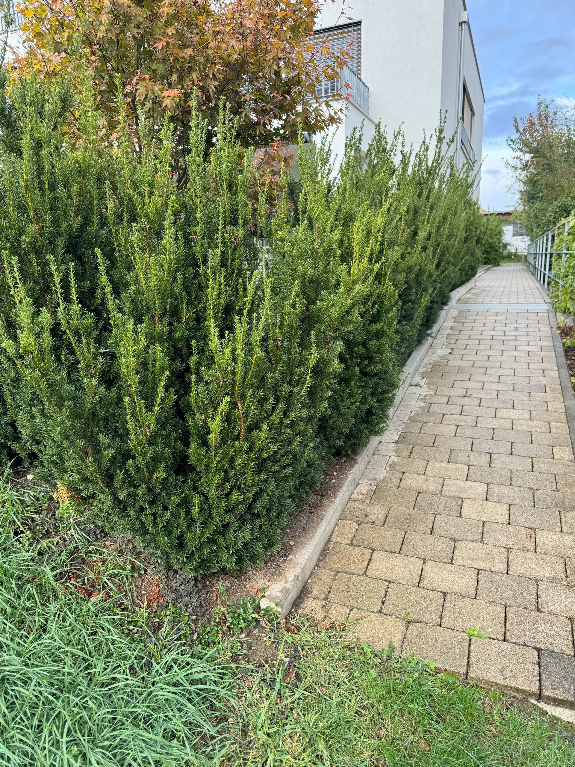 Härer Garten- und Landschaftsbau Gartenpflege