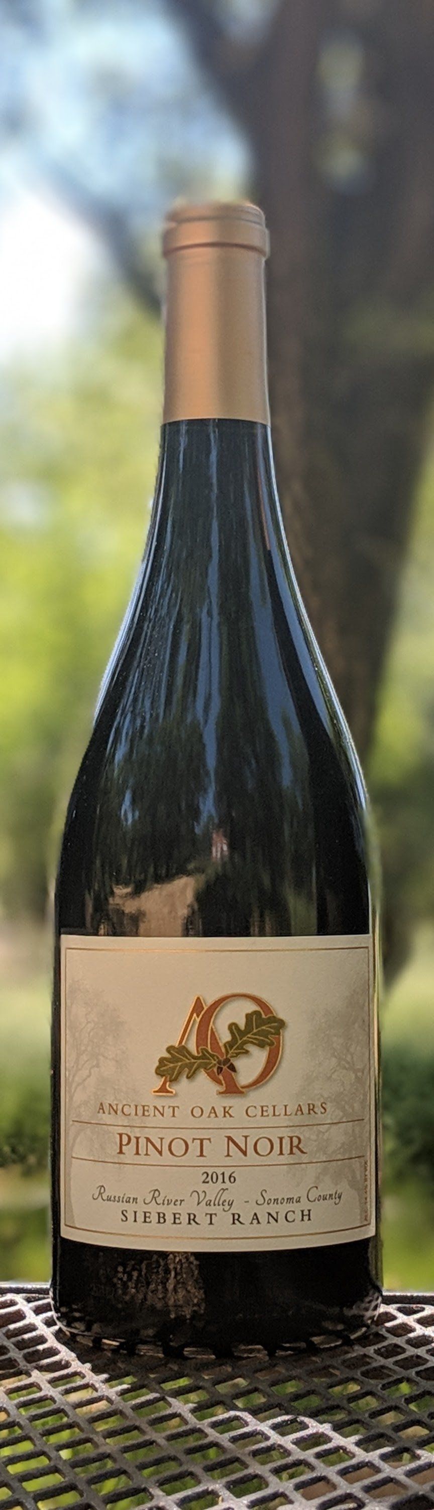 bottle of Ancient Oak Cellars' Siebert Ranch Pinot Noir, made by winemaker Greg La Follette