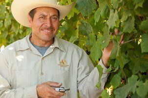 Arnulfo Becerra, Senior Vineyardist, Ancient Oak Cellars