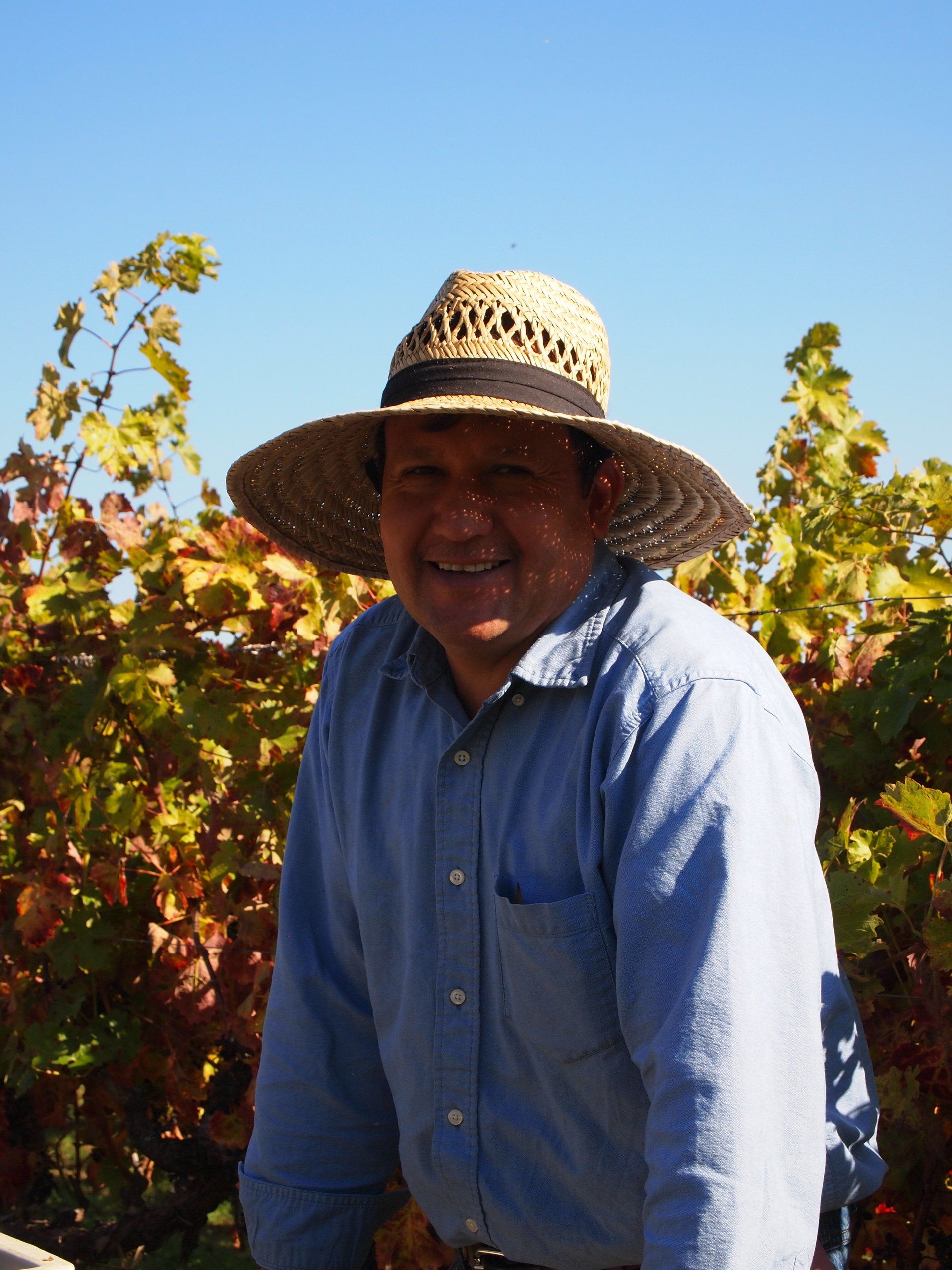 Rogelio Palacios, Best Farms Vineyard Management