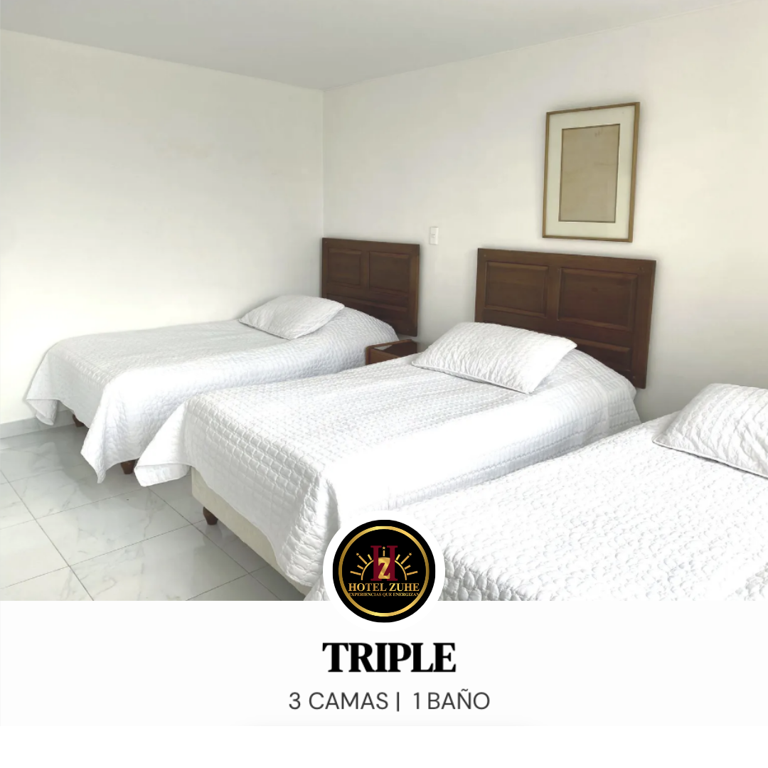 Triple room with three beds. White linens, brown headboards, simple decor.