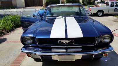 1966 FORD MUSTANG FASTBACK COBALT BLUE
