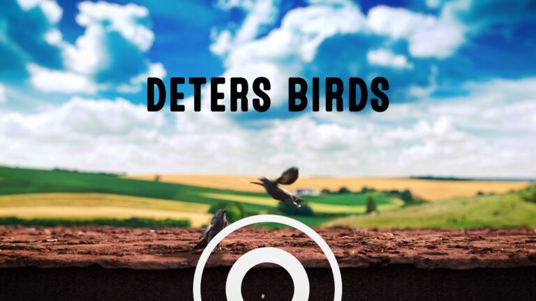 a poster for deters birds shows a bird flying over a field
