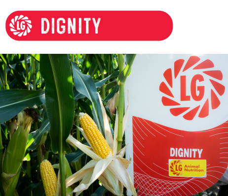 a bag of dignity animal nutrition is next to a corn plant