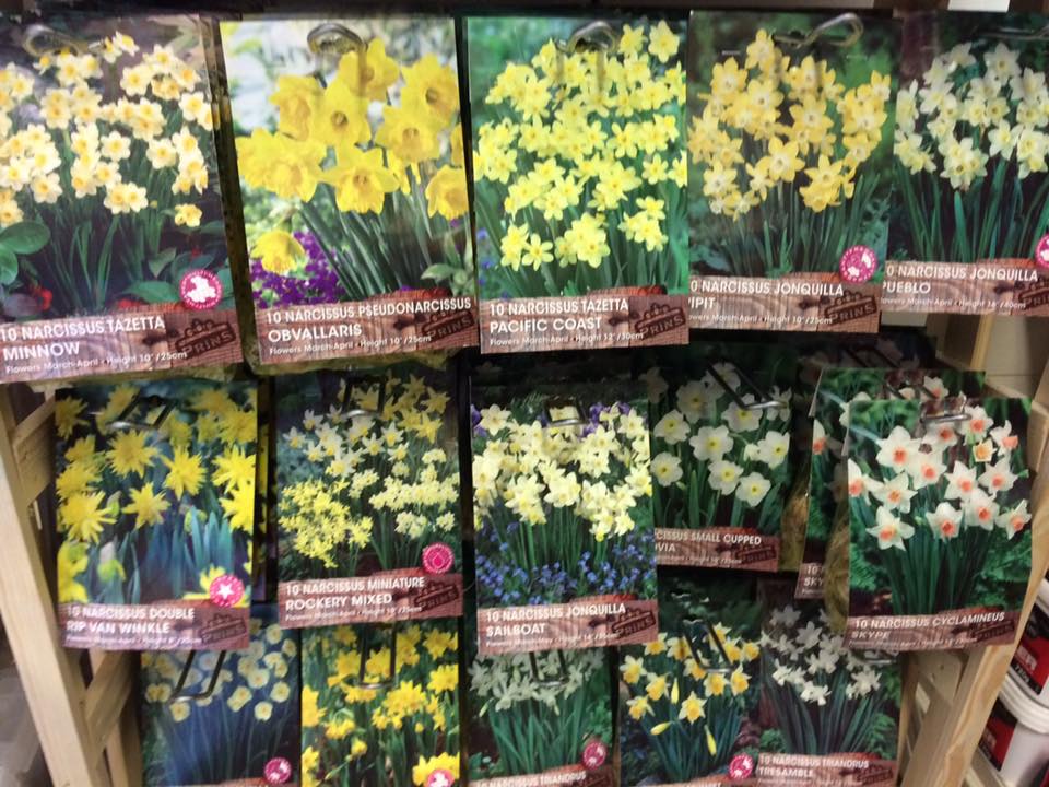 a bunch of different types of daffodils are on display