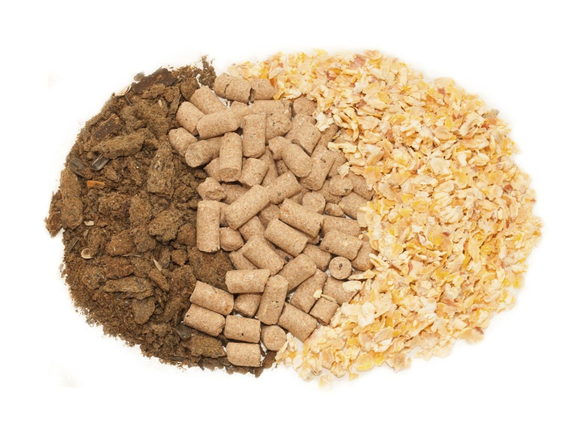a pile of different types of food including pellets and corn flakes