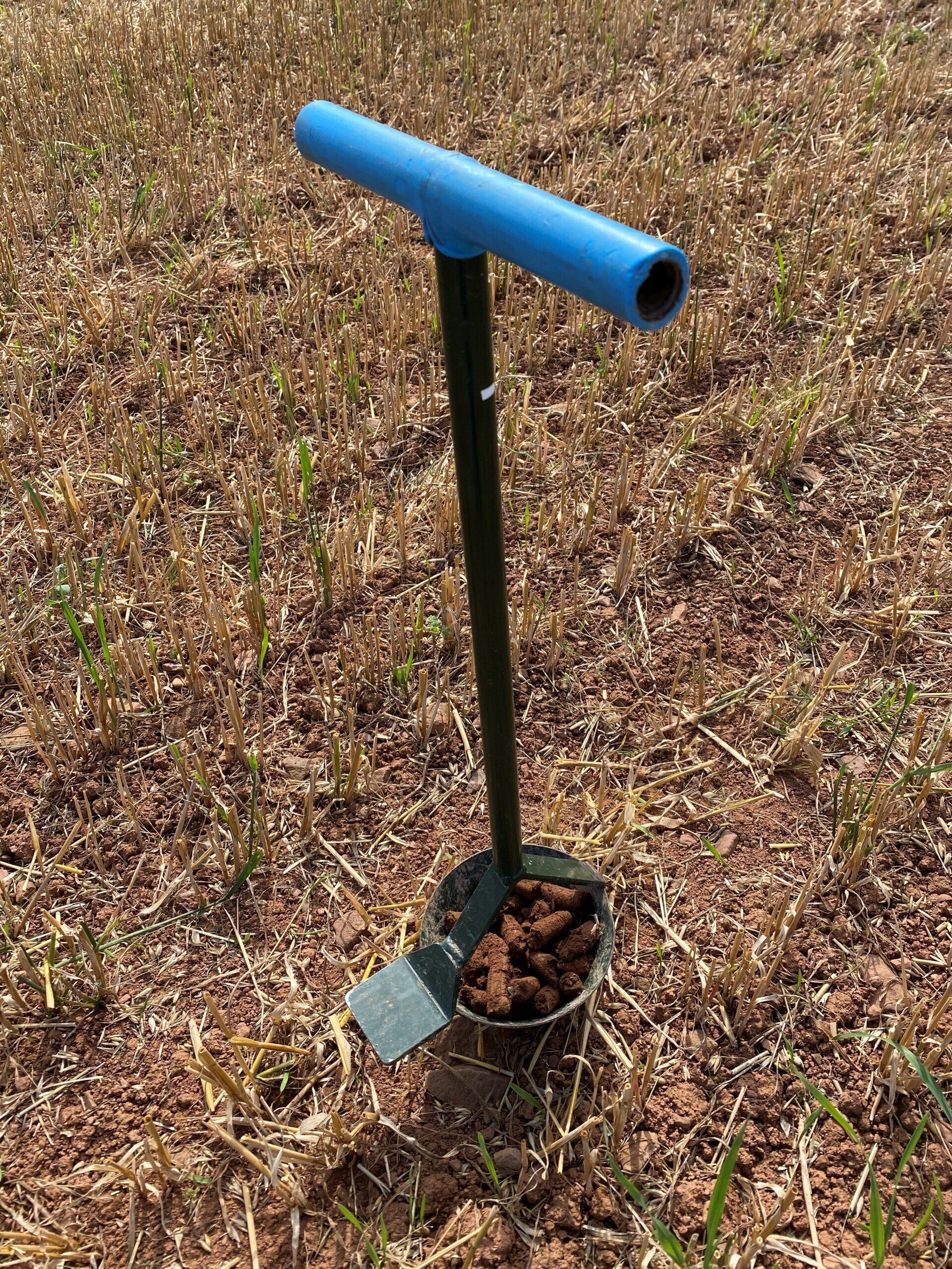 a shovel with a blue handle is filled with dirt