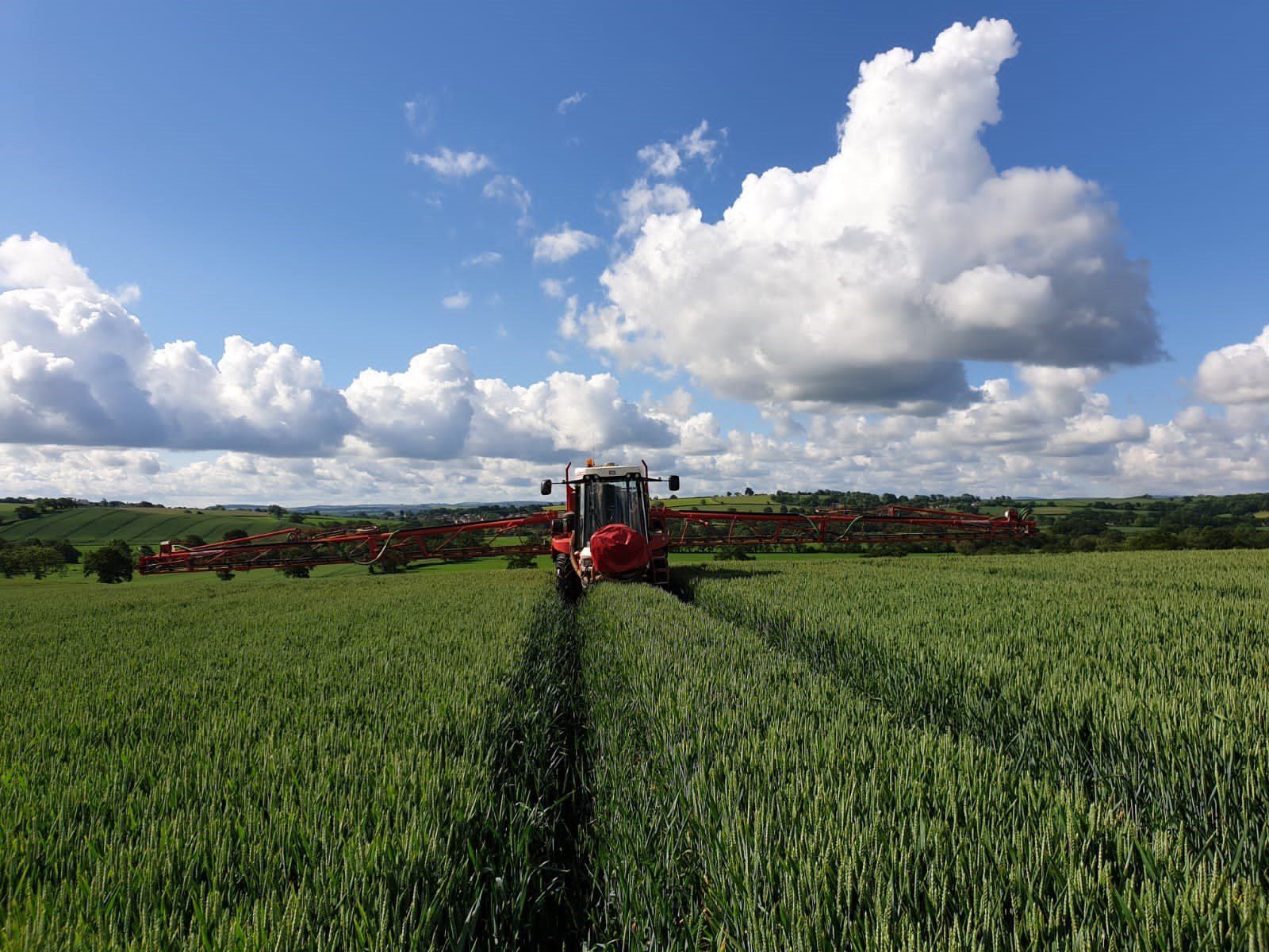 a red tractor is spraying a field of wheat