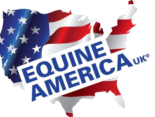 a logo for equine america uk with an american flag in the background