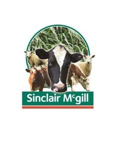a group of cows and sheep are standing next to each other in a logo for sinclair mcgill .