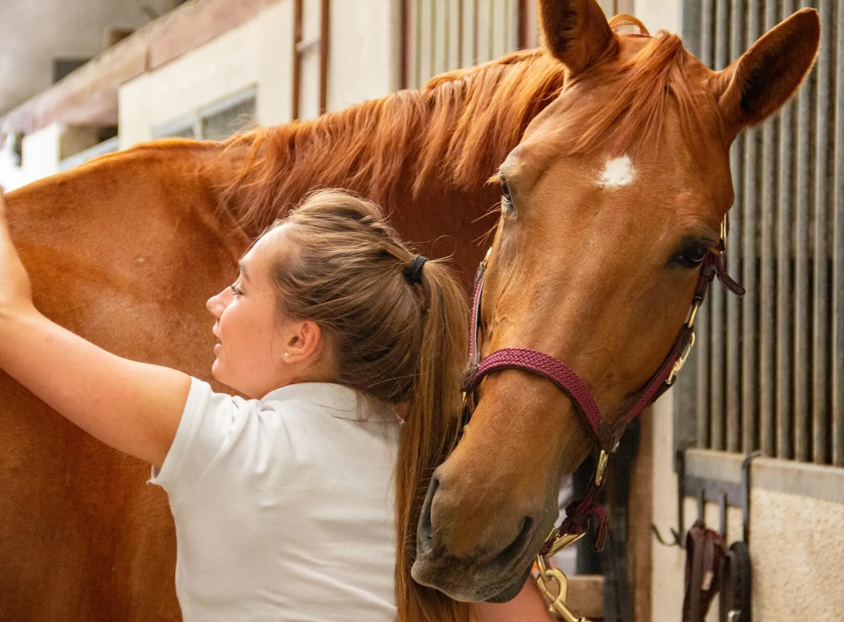 a woman in a white shirt is petting a brown horse
