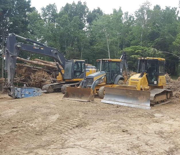 Four yellow construction vehicles parked in a dirt area, with tree trunks and a forest in the background.